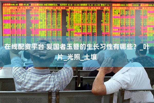 在线配资平台 爱国者玉簪的生长习性有哪些？_叶片_光照_土壤